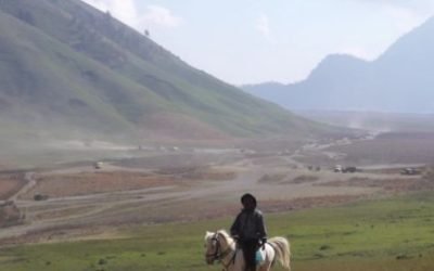 Wisata Gunung Bromo Ditutup Sebelum dan Setelah Lebaran 2024