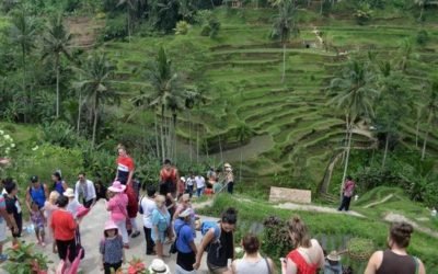 Ekowisata Indonesia : Menjelajahi Keindahan Alam dengan Alama Lingkungan