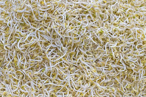 6 Makanan yang Lebih Baik Tidak Dikonsumsi Mentah