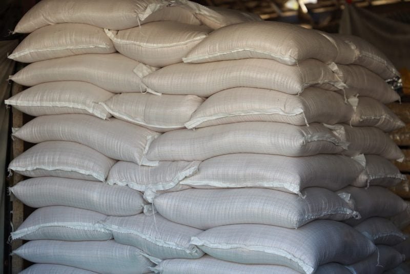 Morocco Extends Wheat Subsidy Program Until Dec 2025 to Combat Ongoing Drought