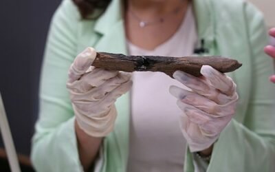 Bone Tools: Ancestors Mastered Them a Million Years Sooner Than Believed