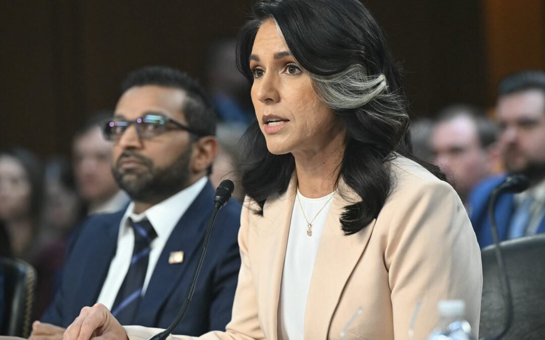 Democrat Unleashes Scathing Attack on Tulsi Gabbard Over War Plans Leak