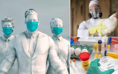 Bird Flu’s Alarming Twist: Officials Warn of Potential Next Pandemic