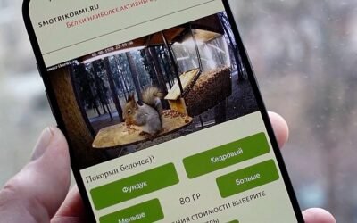 Watch Moscow’s Squirrels Go High-Tech: AI-Powered Feeders Live Stream Their Adventures