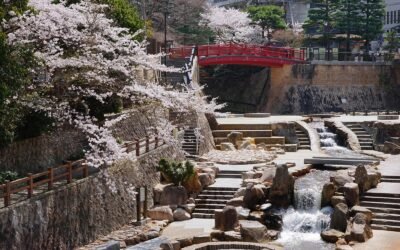 Cherry Blossom Fiesta: Arima Onsen International Celebration