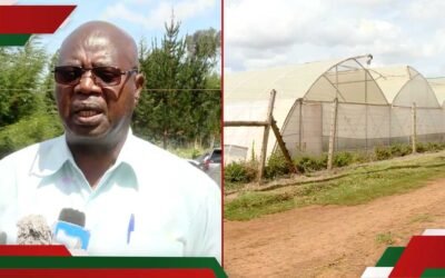 Flower Firm Sparks Alarm as 10-Acre School Land in Meru County Is Transferred