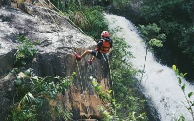 13 Stunning Must-Visit Places in Dalat – International Edition (English)