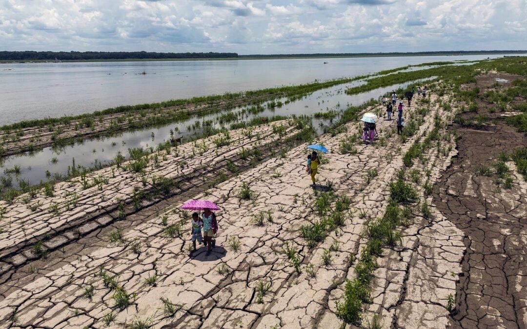 CO2 Levels Hit 800,000-Year Peak in Latest Report