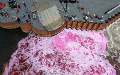 Race to Save the Planet: Can Ocean Dumping Tackle Climate Change and Lock Away Carbon?
