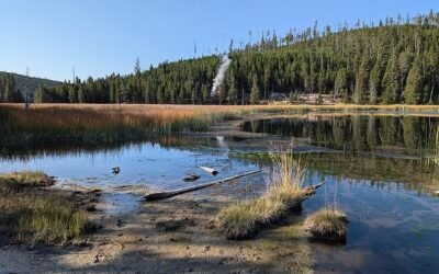 Yellowstone’s New Volcanic Vent: Is an Eruption Imminent?