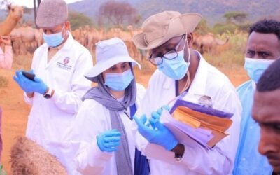 WOAH Center Identifies Likely Cause of Deadly Camel Deaths in Ethiopia