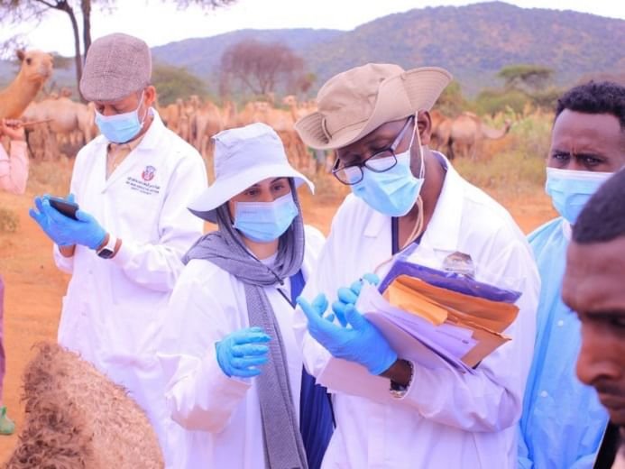 WOAH Center Identifies Likely Cause of Deadly Camel Deaths in Ethiopia