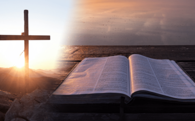 Gospel Reflections: March 28 Edition