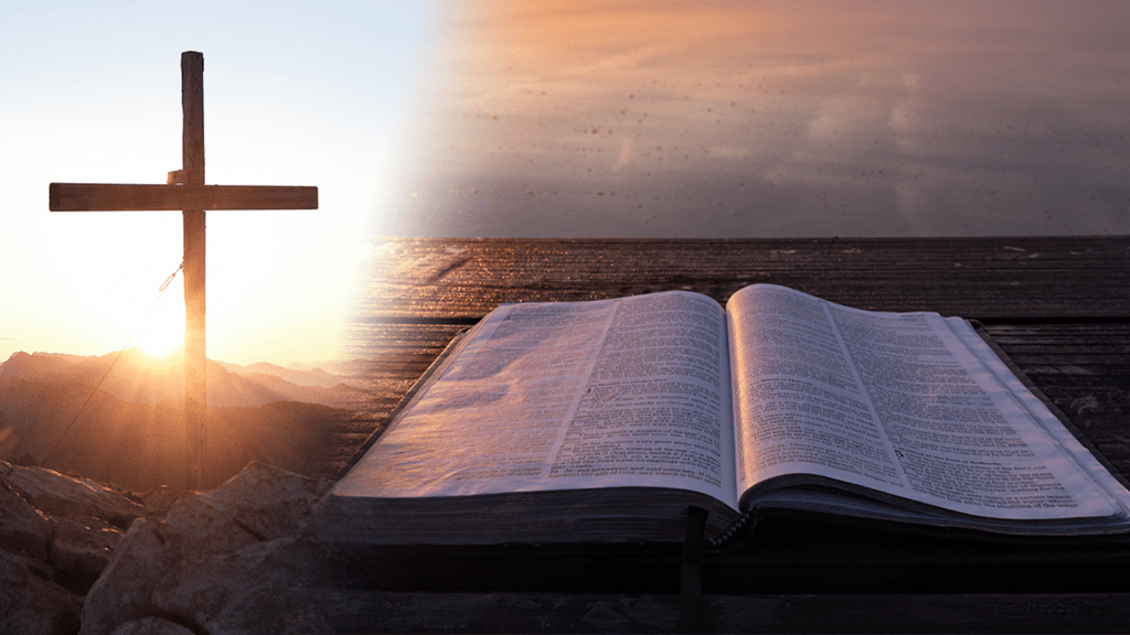 Gospel Reflections: March 28 Edition