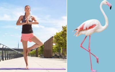 How Long Should You Really Be Able to Stand on One Leg? Find Out by Age