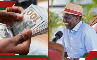 Kenya’s Foreign Exchange Reserves Soar to 3-Month High Amid Strong Shilling