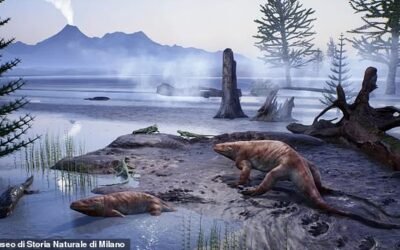 Hiker Discovers Ancient Lost World in 280-Million-Year-Old Ecosystem