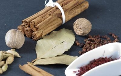 International Edition: The Culinary Plant Revered for Cooking and Natural Remedies Against Bloating and Rheumatism