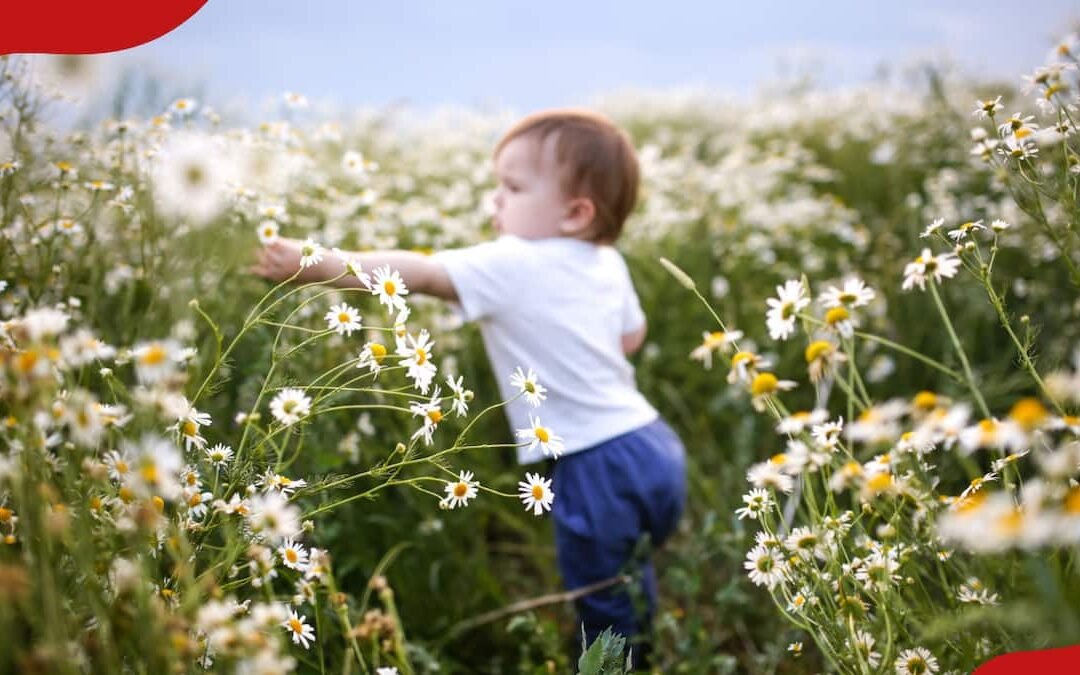 Floral Inspiration: 100+ Beautiful Plant Names for Girls