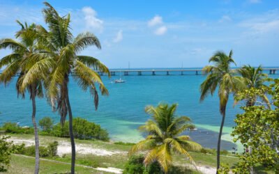 Discover Breathtaking Natural Landscapes at Bahia Honda State Park – International Edition (English)