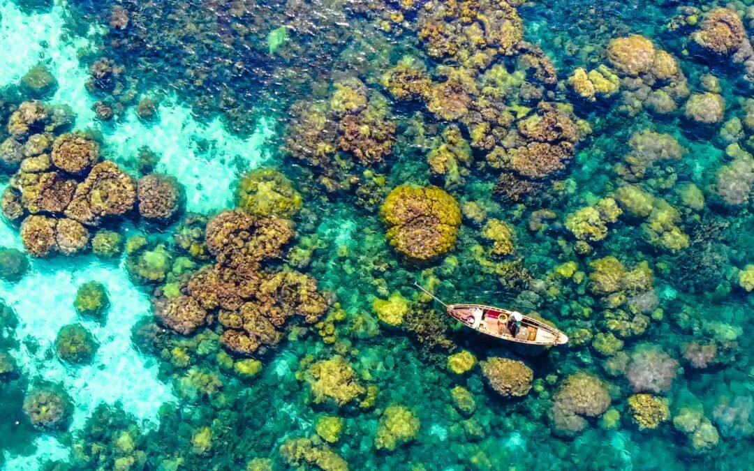 Discover Vietnam’s Most Stunning Island: Where Pristine Beaches Meet Lush Jungles