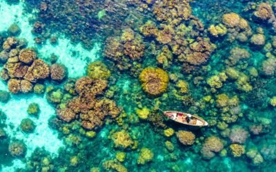 Discover Vietnam’s Most Stunning Island: Where Pristine Beaches Meet Lush Jungles