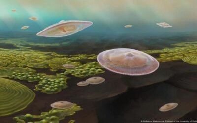 Did Life on Earth Start Earlier Than We Believe?