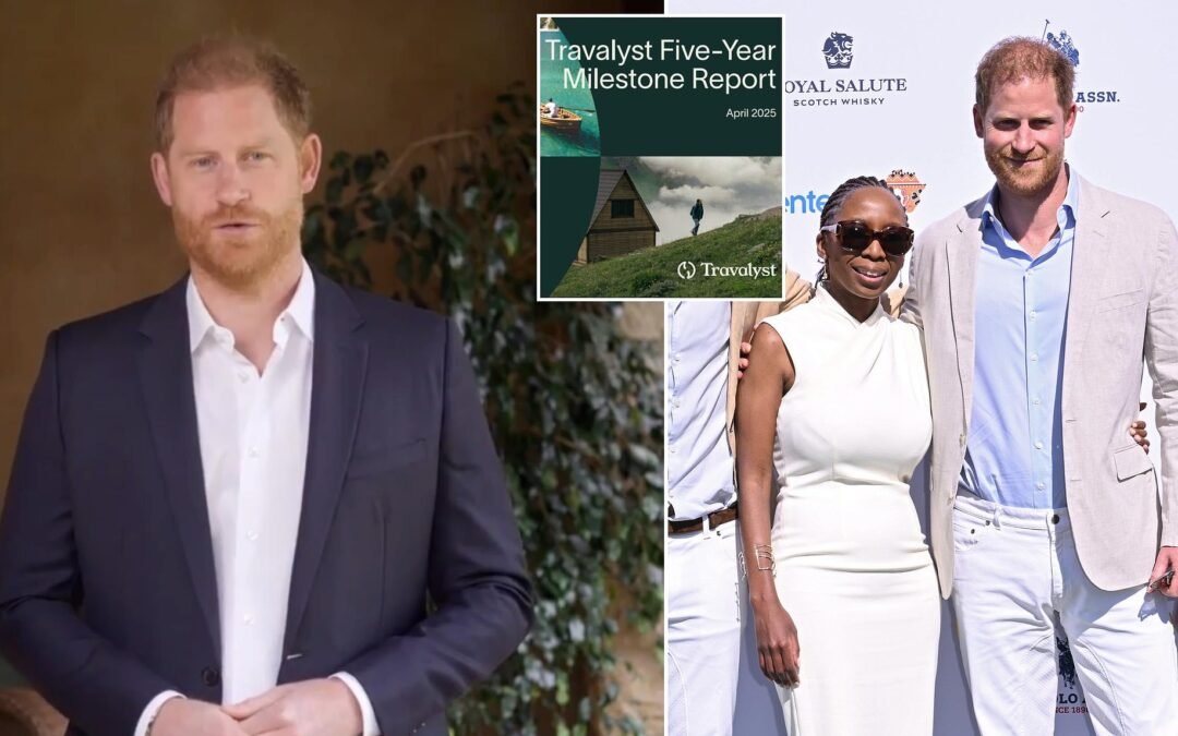 Prince Harry ignores Sentebale ‘bullying’ storm as he plugs Travalyst