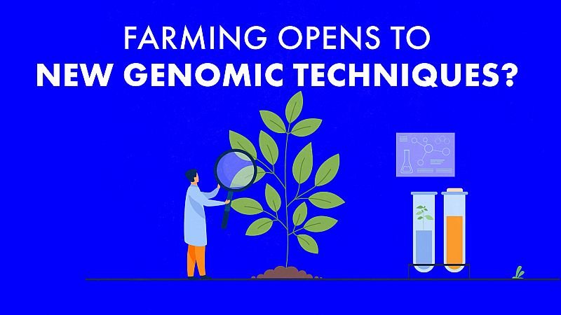 Will Europe’s Agriculture Embrace New Genomic Techniques?