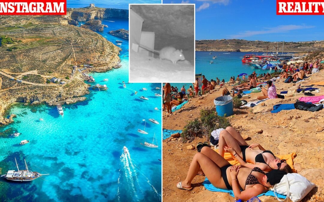 Instagram Island Transformed Into a Rat-Infested Nightmare Resembling a Abandoned Favela