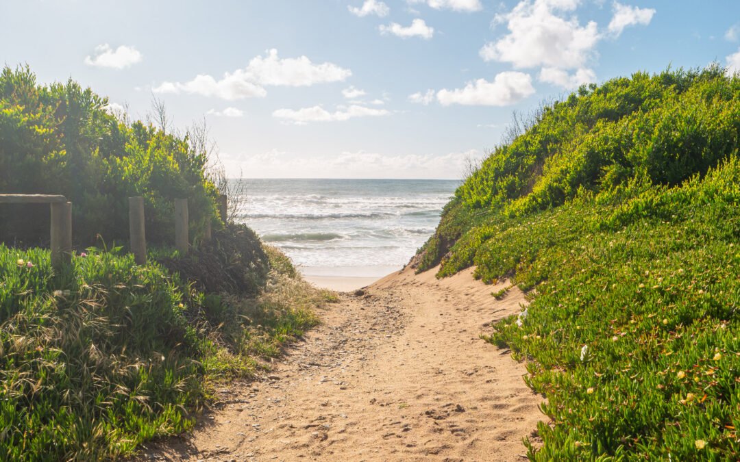 Hidden Gems Along Porto’s Coast: From São Jacinto to Esmoriz